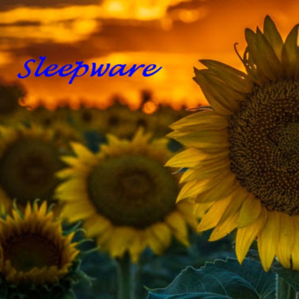 Sleepware